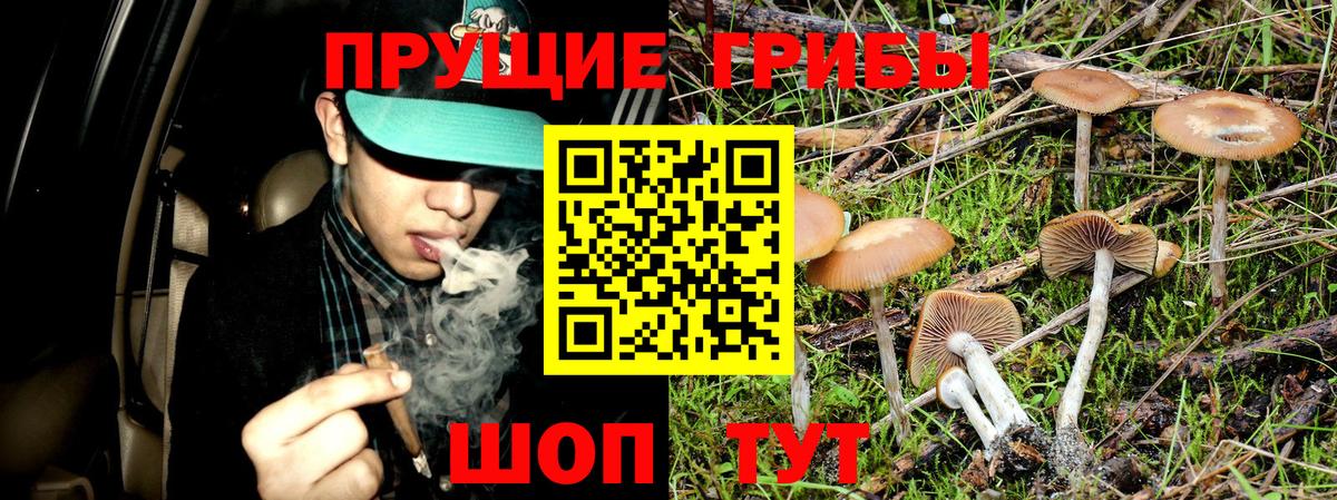 Галлюциногенные грибы MAGIC MUSHROOMS Кузнецк